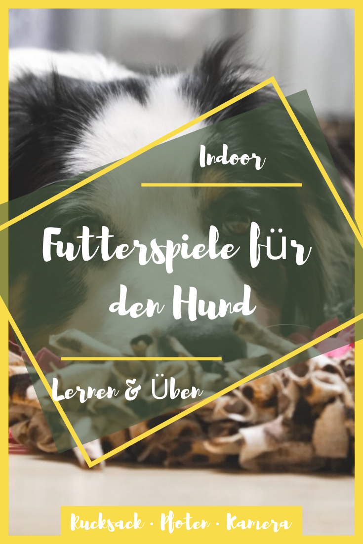 Futterspiele für den Hund Indoor Beschäftigung Rucksack ‧ Pfoten