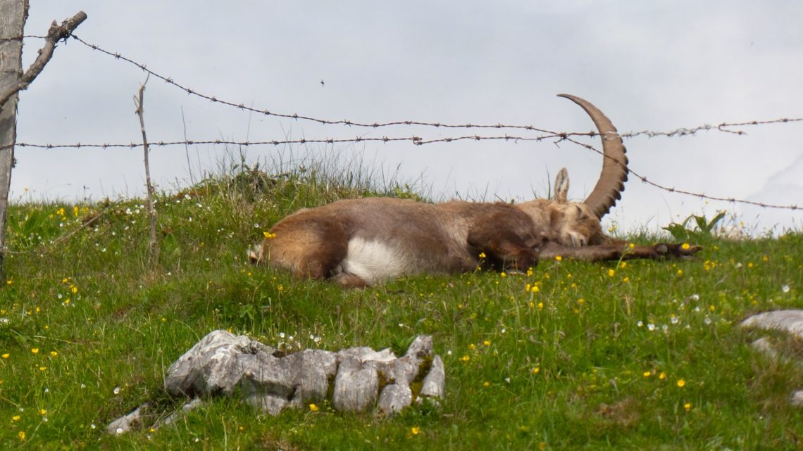 Hochlantsch Wanderung