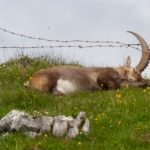 Hochlantsch Wanderung