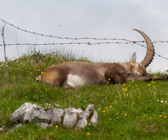 Hochlantsch Wanderung