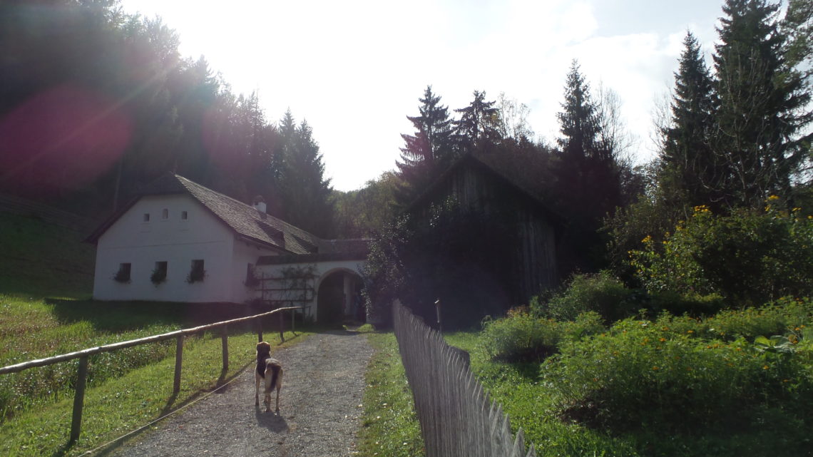 Freilichtmuseum in Stübing