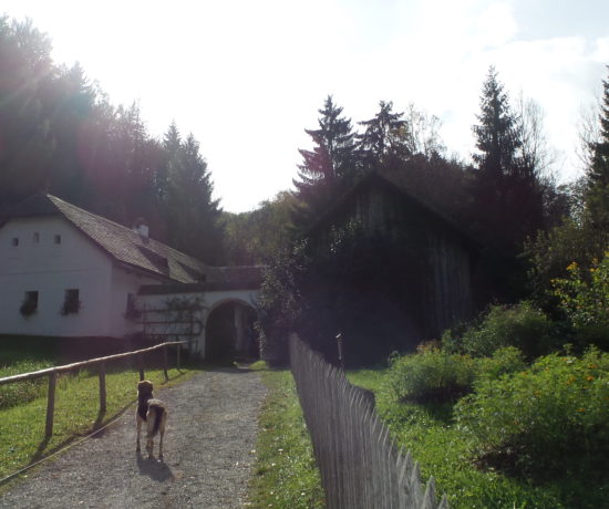 Freilichtmuseum in Stübing