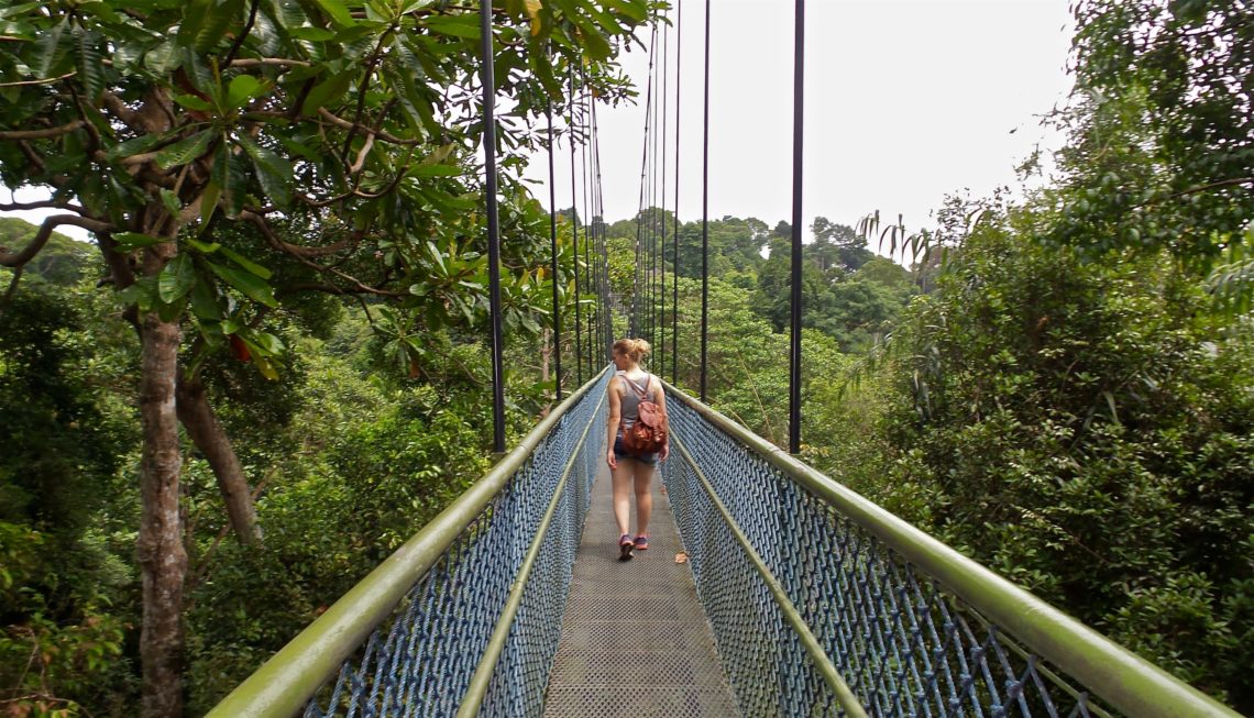 TreeTop Walk in Singapur