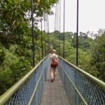 TreeTop Walk in Singapur