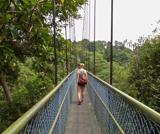 TreeTop Walk in Singapur