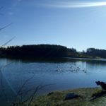 Smartinsko Jezero
