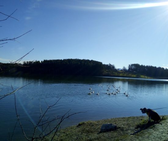 Smartinsko Jezero