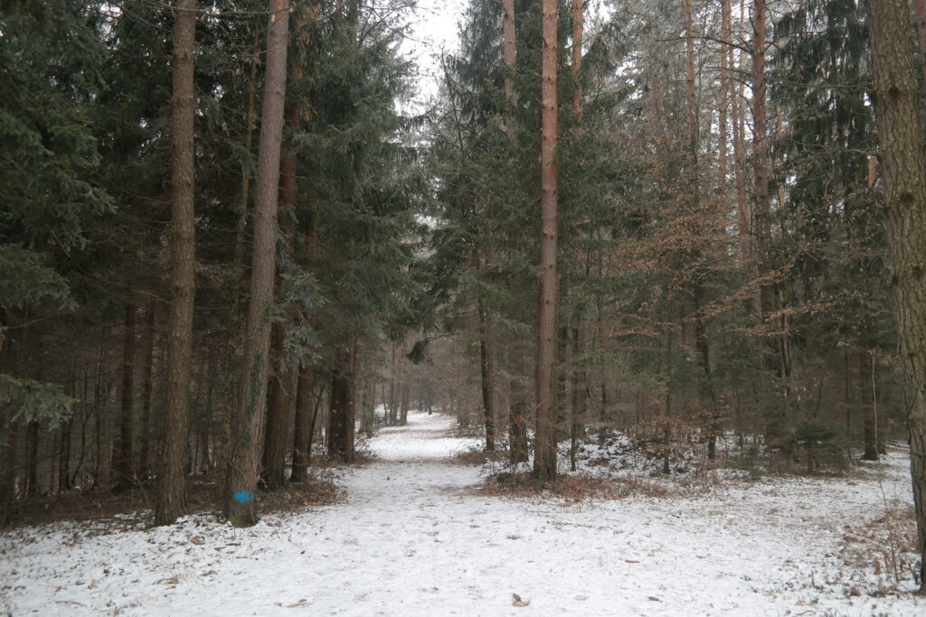 Waldspaziergang St.Bartolomä