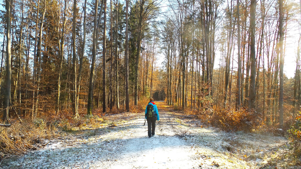 Am Grazer Umland Weg