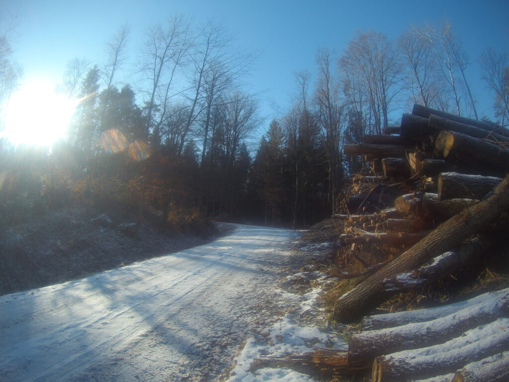 Waldstück Grazer Umland Weg