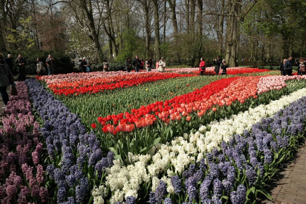 Keukenhof Amsterdam 