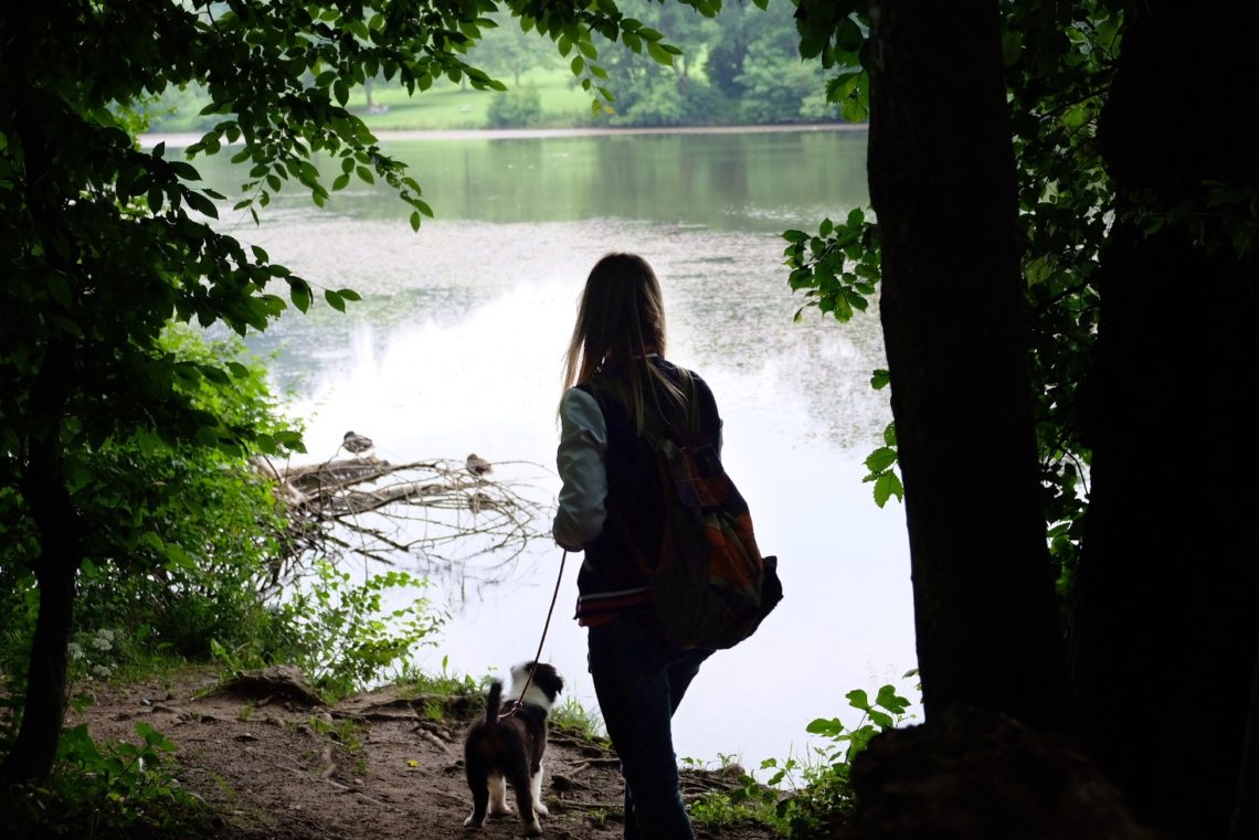 Thalersee Rundweg mit Hund