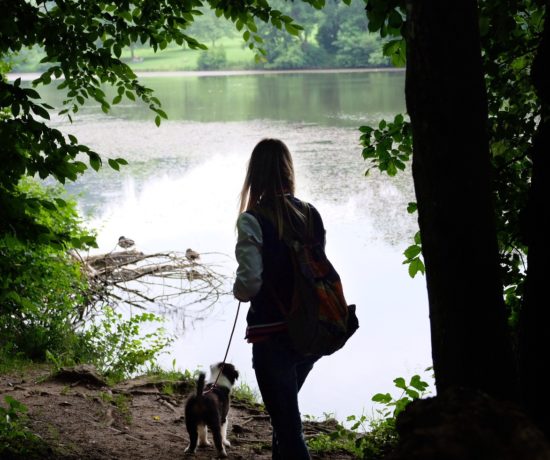 Thalersee Rundweg mit Hund