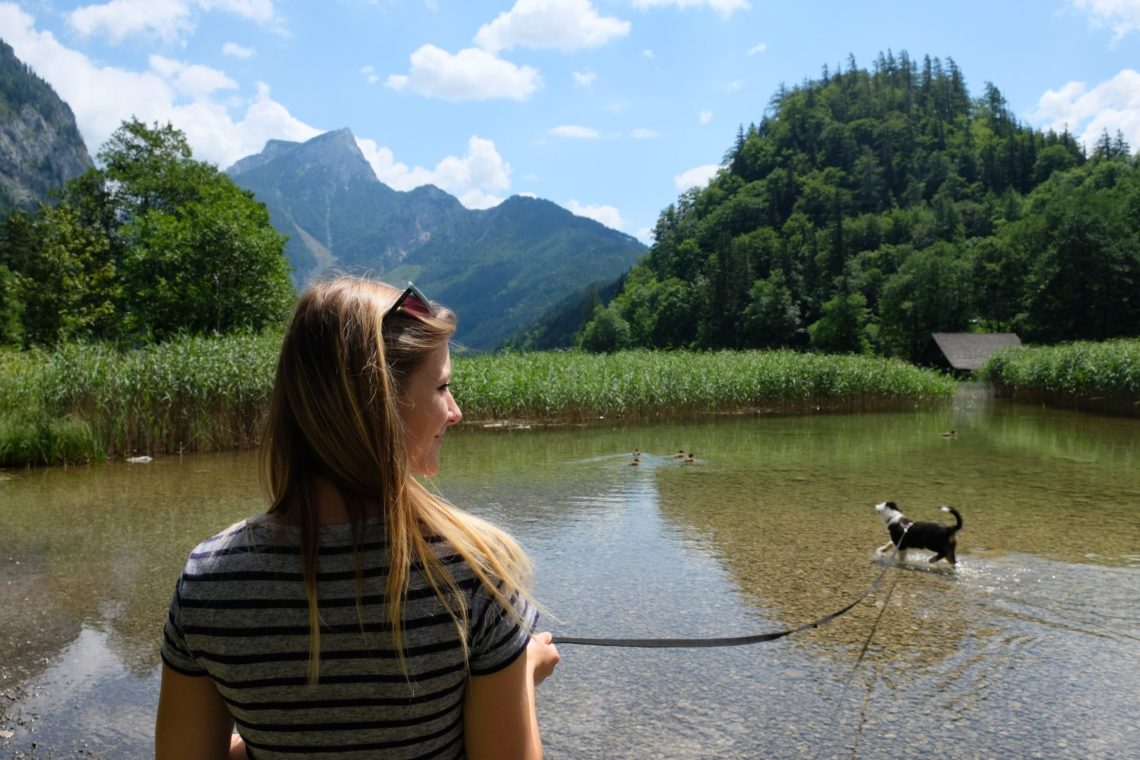 Leopoldsteinersee mit dem Welpen