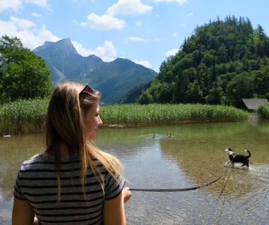 Leopoldsteinersee mit dem Welpen