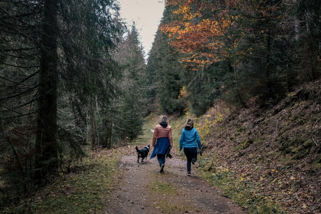 rund um den Spechtensee