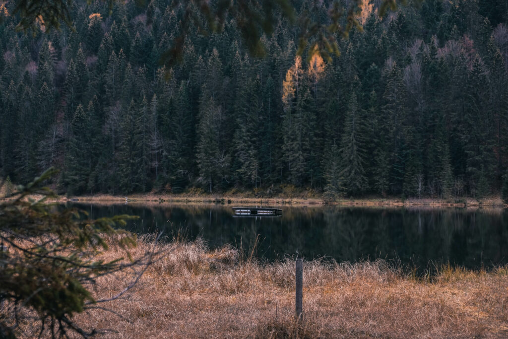 rund um den Spechtensee