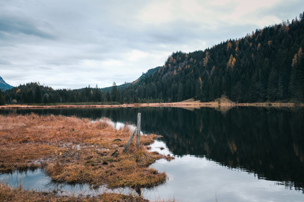 rund um den Spechtensee