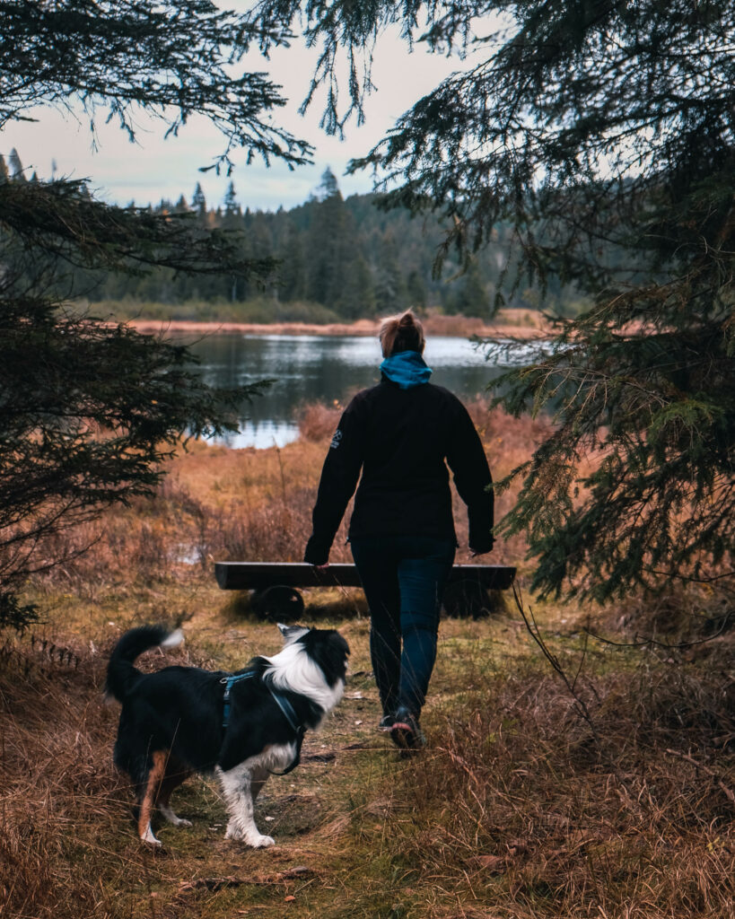 Mit Hund um den Spechtensee