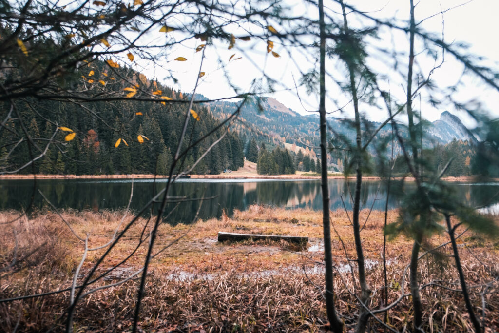 rund um den Spechtensee