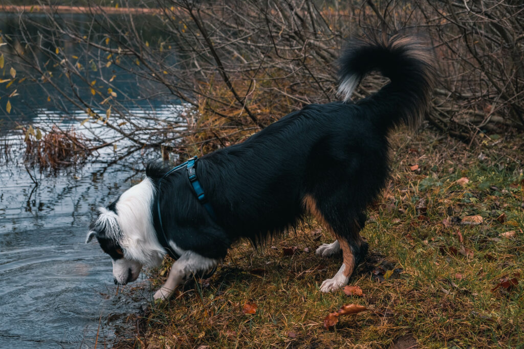 rund um den Spechtensee