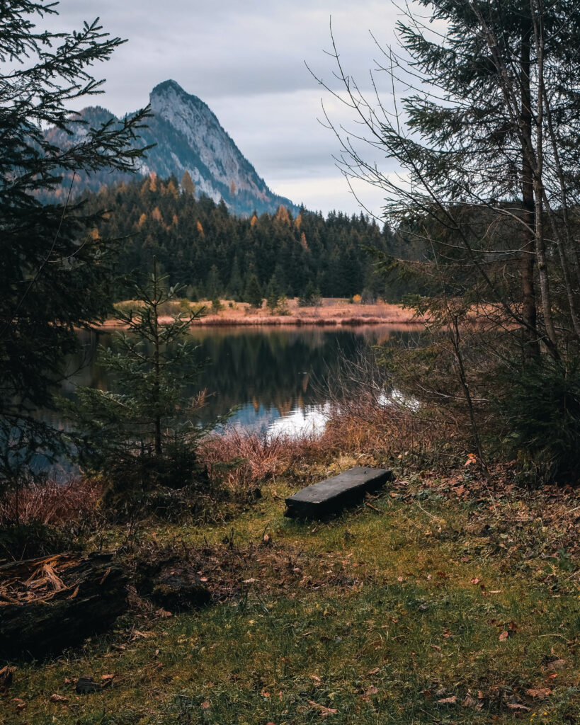 rund um den Spechtensee