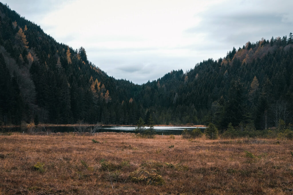 rund um den Spechtensee