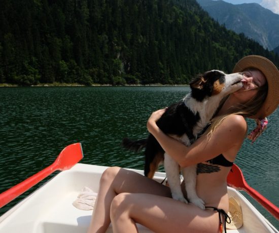 Bootfahren mit Hund
