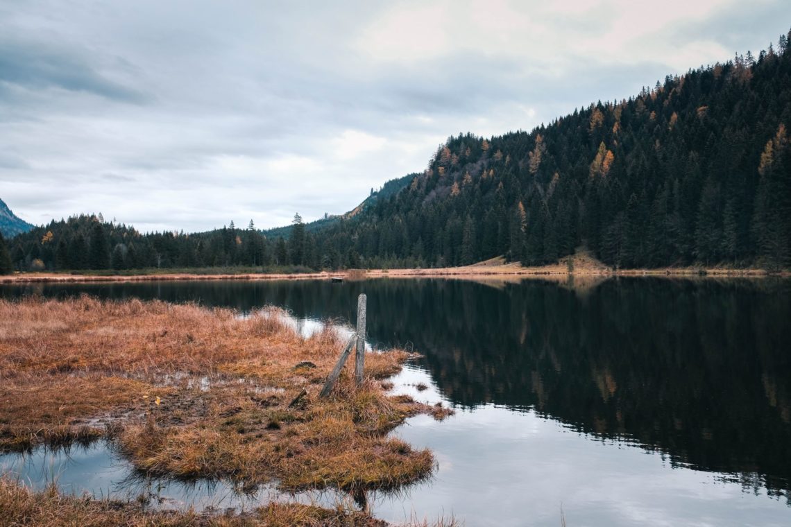 Spechtensee Rundweg