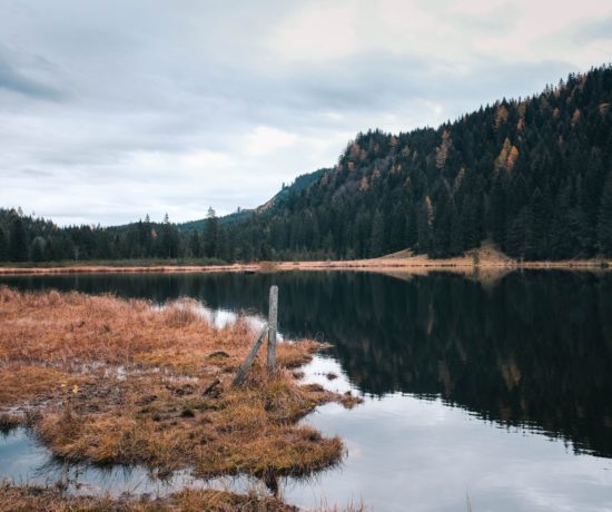 Spechtensee Rundweg