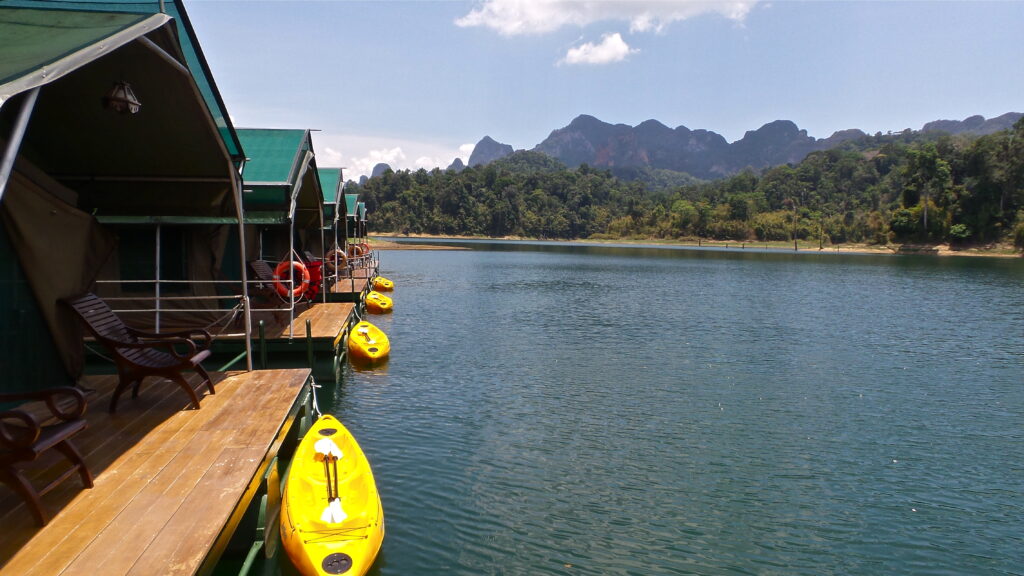Dschungelcamp Rainforest