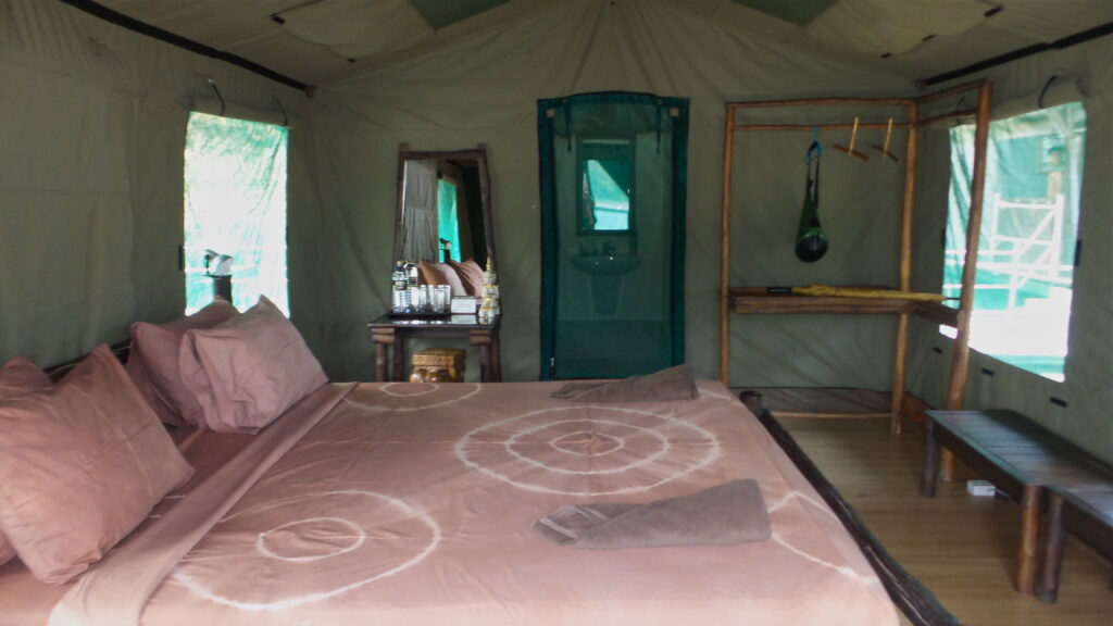 Dschungelcamp Rainforest