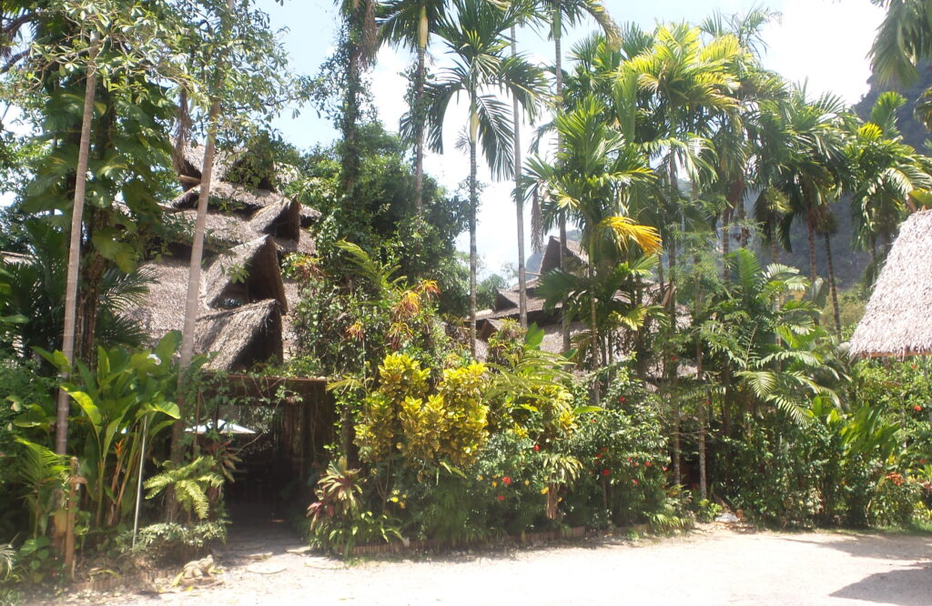 Khao Sok - Elephant Hills Camp