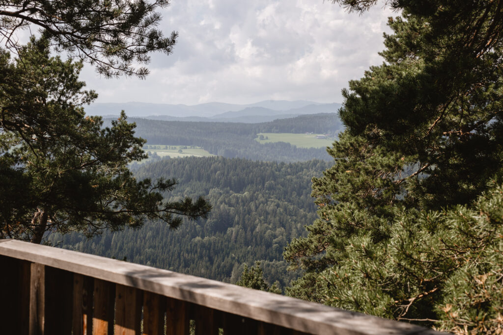 Picknick in der Steiermark