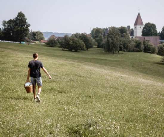 Picknick Weststeiermark