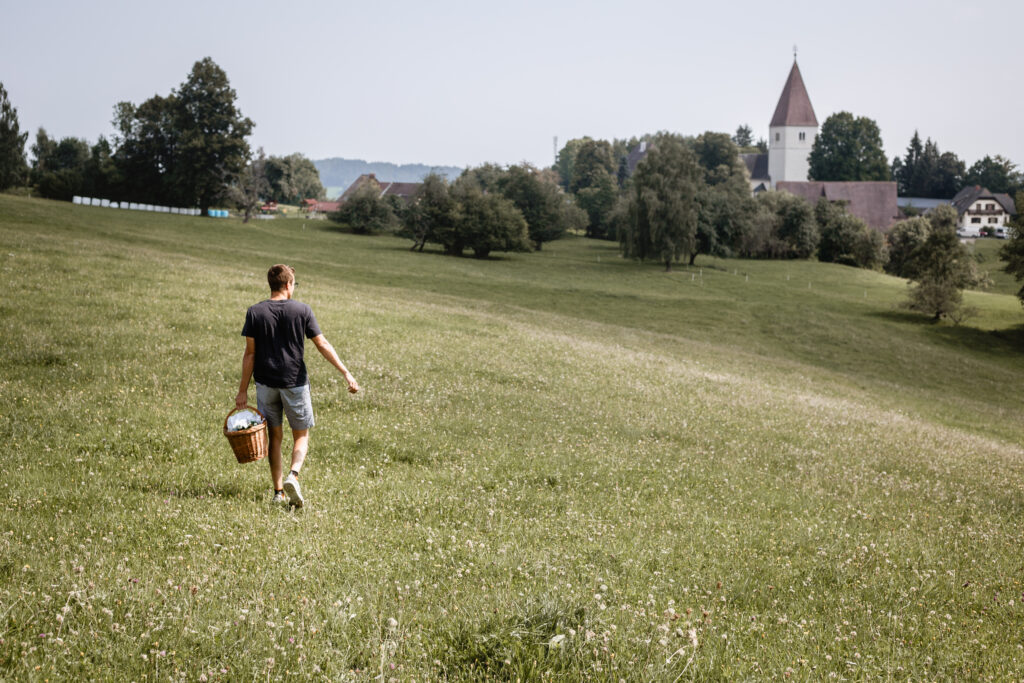 Picknick in der Steiermark