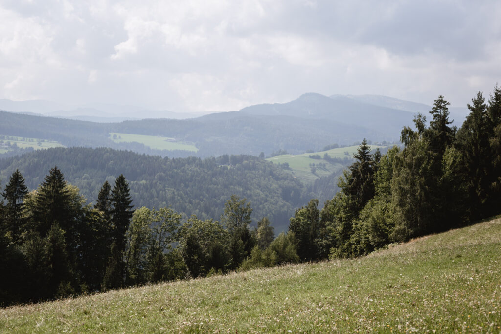 Picknick in der Steiermark