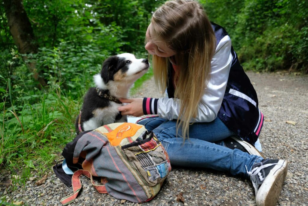 Meinen Hund kennenlernen 