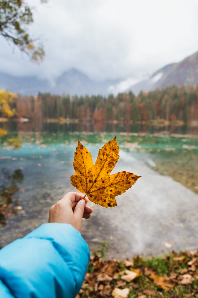 Laghi di Fusine im Herbst