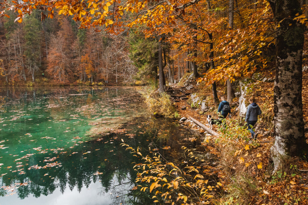 Herbstwanderung Laghi di Fusine