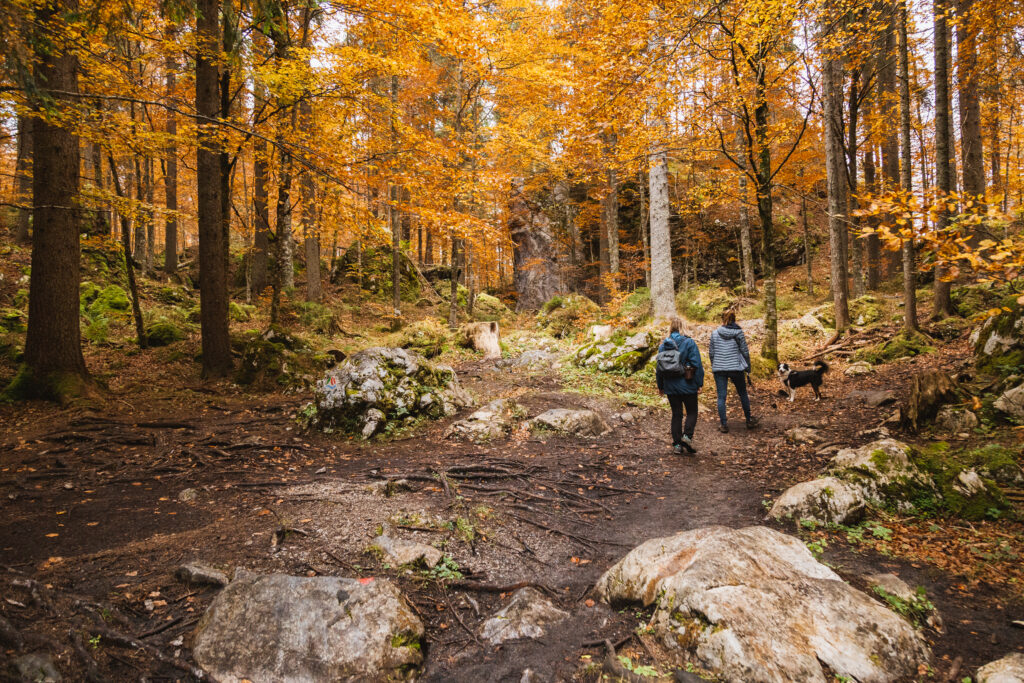 Laghi di Fusine im Herbst 