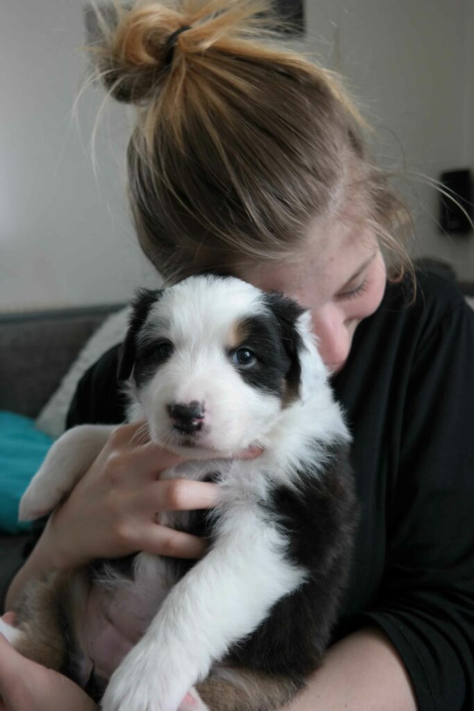 Bindung zum Hund aufbauen
