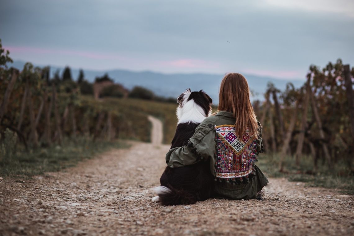 erste Hund zieht ein