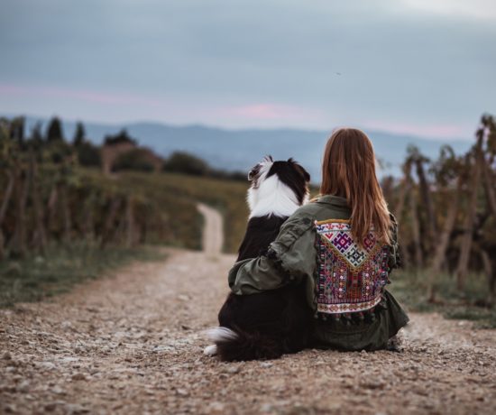 erste Hund zieht ein