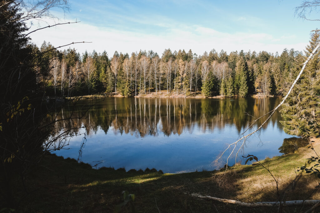 Spaziergang am Stausee Riedelsbach