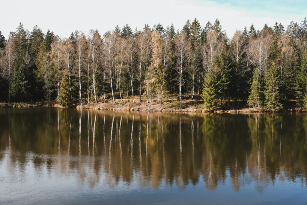 Stausee Riedelsbach im Herbst 