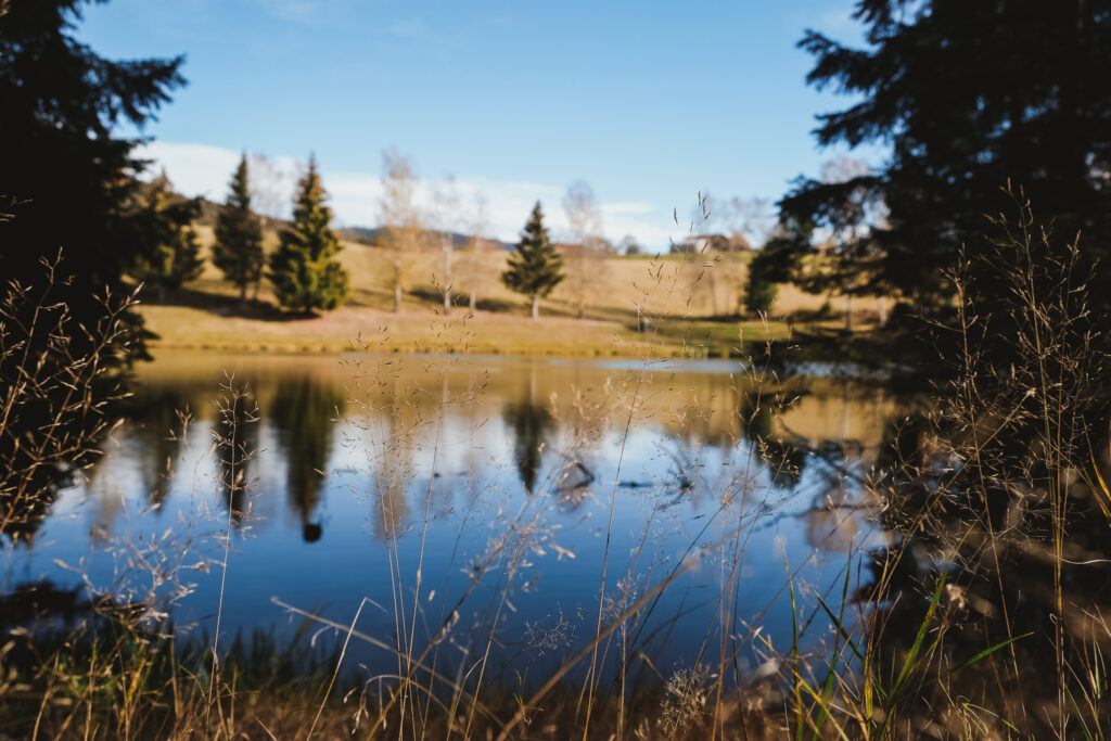 Stausee Riedelsbach im Herbst 