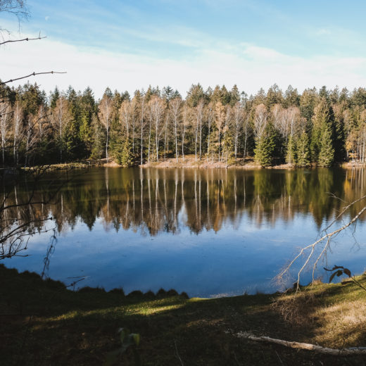 Stausee Riedelbach Titelbild