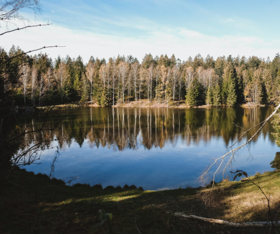 Stausee Riedelbach Titelbild