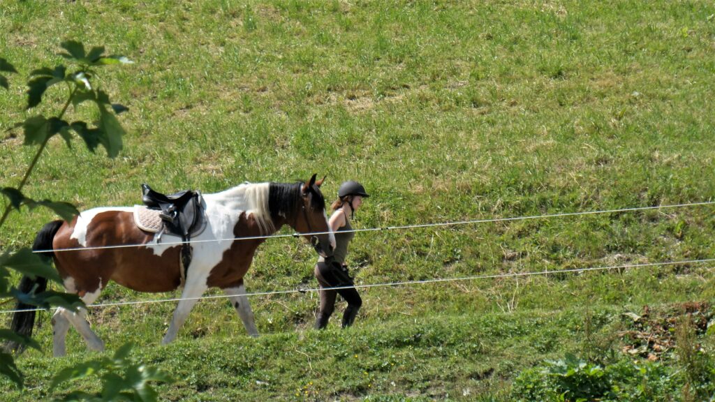 Reiten in Saalbach Hinterglemm